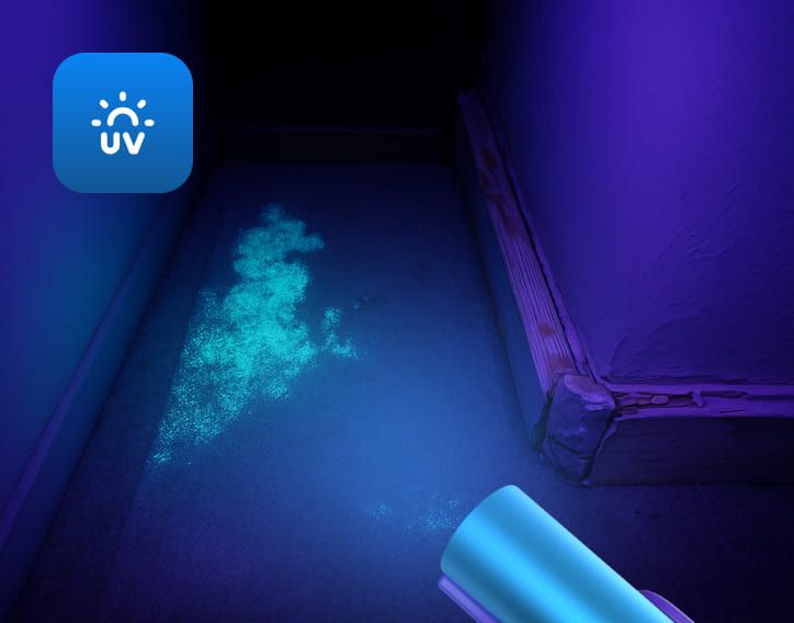 Synoshi Pro UV Light