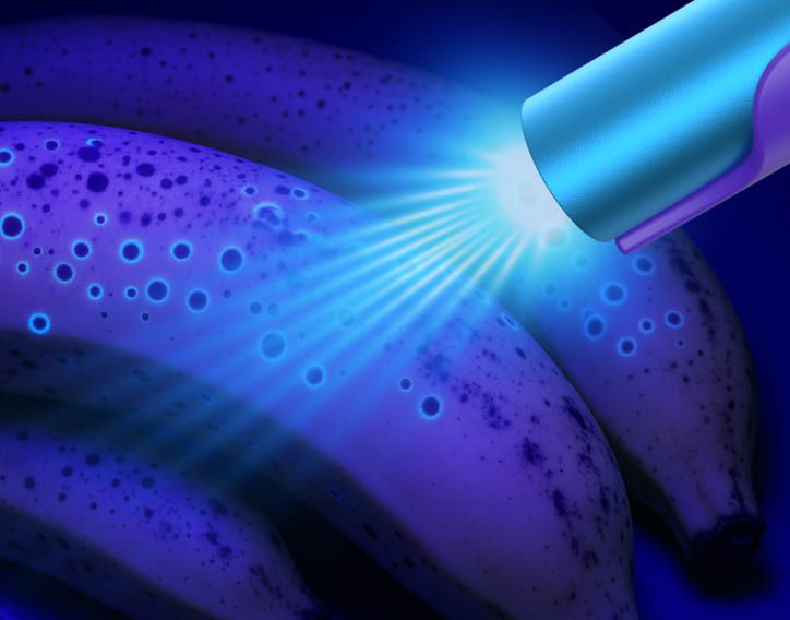 Synoshi Pro UV Light